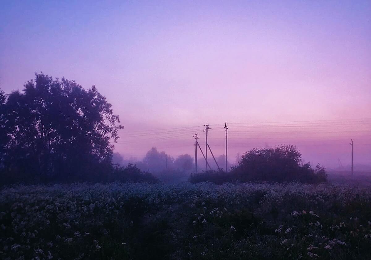 曹赟定：戴伟浚和谢鹏飞不在申花体系里，主教练不需要技术流