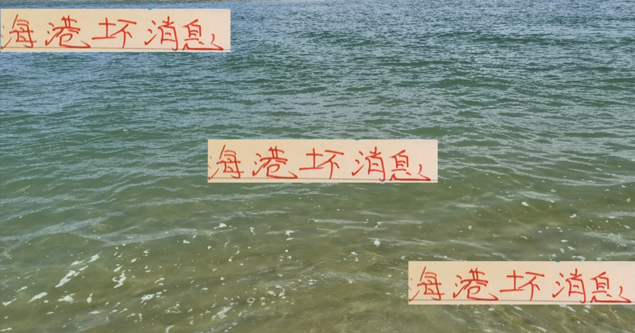 海港的坏消息！跟成都蓉城巅峰之战 不仅有魔咒 同时4球员打不了